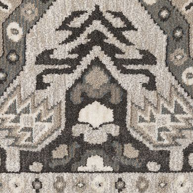 StyleHaven Traditional Panel Medallion Area Rug