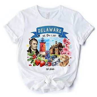 Artistic Delaware State Themes and Landmarks T-Shirt, Tee for History and Travel Lovers