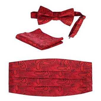 Gioberti Boy's Adjustable Satin and Paisley Cummerbund Set