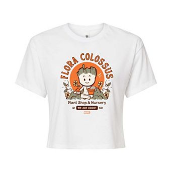 Juniors' Marvel Guardians of the Galaxy Groot Flora Colossus Cropped Tee