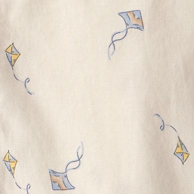 Toddler Boy Carter's 2-Pc. Kite Top & Short Set