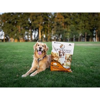 Earthborn Holistic Great Plains Feast Bison Meal & Vegetables Grain-free Dry Dog Food - 12.5 Lbs