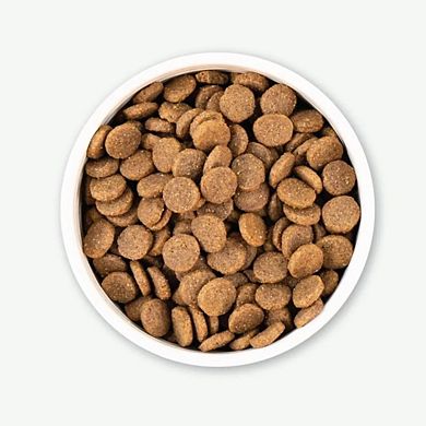Earthborn Holistic Great Plains Feast Bison Meal & Vegetables Grain-free Dry Dog Food - 12.5 Lbs