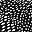 Black Patchwork Dots