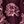 Purple Estelle Floral