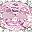 Silver Tone Pink