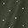 Deep Olive Dot