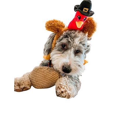 Midlee Pilgrim Turkey Thanksgiving Dog Headband