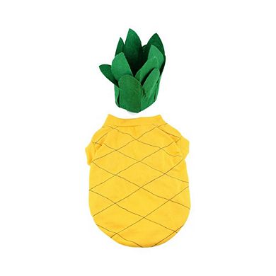 Midlee Pineapple Dog Halloween Costume