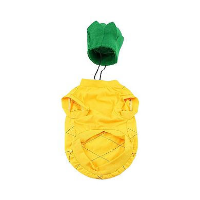 Midlee Pineapple Dog Halloween Costume