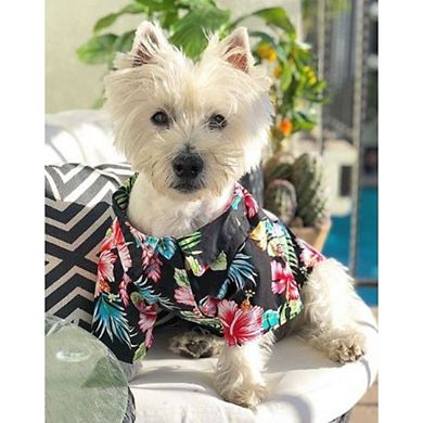 Midlee Hawaiian Shirt for Dogs