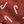 Red Candy Cane