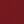 Burgundy Leopard