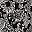Black Ivory Paisley
