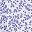 Dusk Lavender Leaf