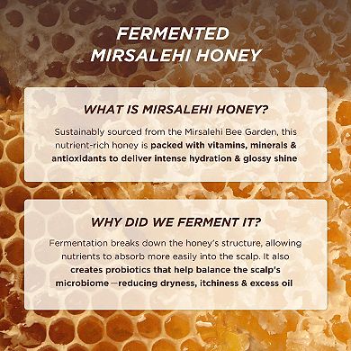 Honey Gloss Ceramide Therapy Hydrating Shampoo