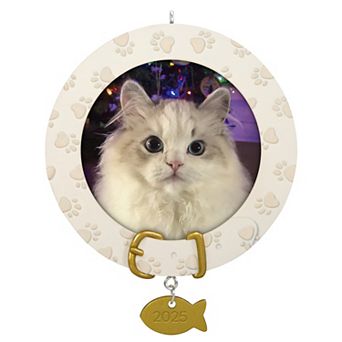 Furry Friend 2025 Photo Frame Hallmark Keepsake Christmas Ornament