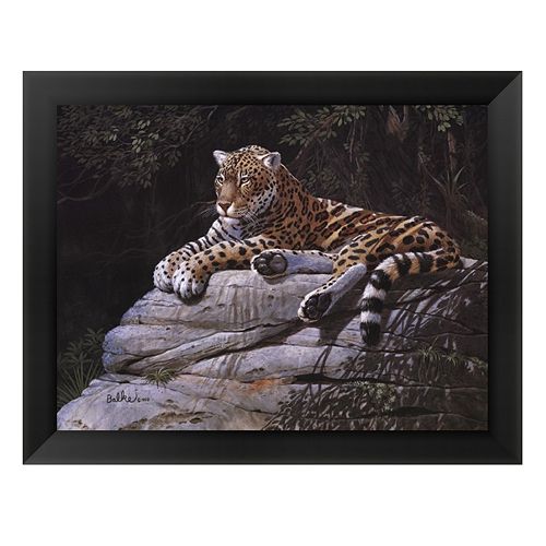 Jaguar on Rock Framed Art Print by Don Balke