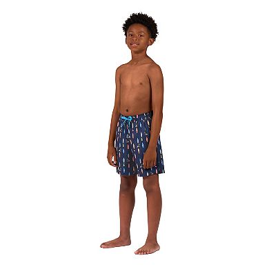 Boys 4-20 ZeroXposur Boardwalk Shorties Print Swim Bottoms
