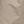 Trace Khaki