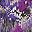 Purple Painted