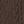 Coffee Bean