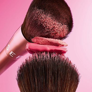 Perfectly Blushed Makeup Blush and Brush Set