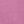 Mauve Orchid