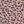 Bark Leopard Print