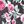 Pink Floral
