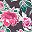 Pink Floral