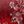 Red Tonal Paisley