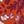 Dark Orange