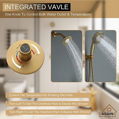 2-Spray 5 in. Dual Shower Head Wall Mounted Fixed and Handheld Shower Head