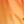 Poppy