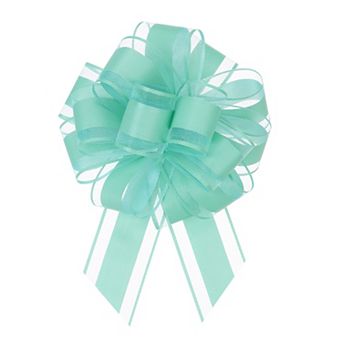 10 pc 6 Inch Large Big Pull Bow Organza Gift Wrapping Bows Ribbon