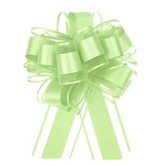 10 pc 6 Inch Large Big Pull Bow Organza Gift Wrapping Bows Ribbon