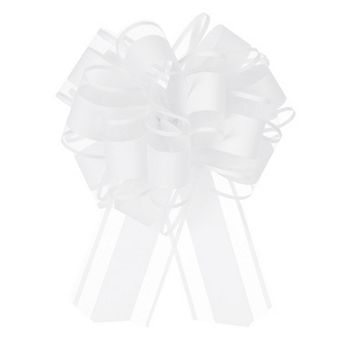 10 pc 6 Inch Large Big Pull Bow Organza Gift Wrapping Bows Ribbon