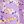 Purple Flower