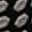 Black Beige