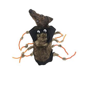 Midlee Scary Spider Dog Costume