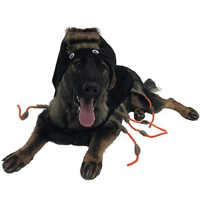Midlee Scary Spider Dog Costume