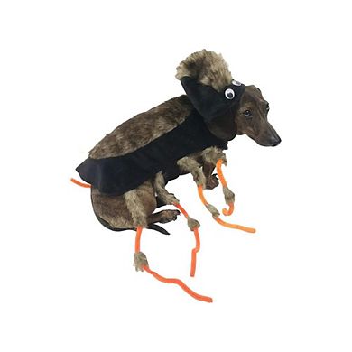 Midlee Scary Spider Dog Costume