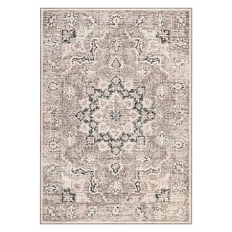 Living Room Washable Area Rug Vintage Large Floor Cover Distressed Stain Resistant Carpet