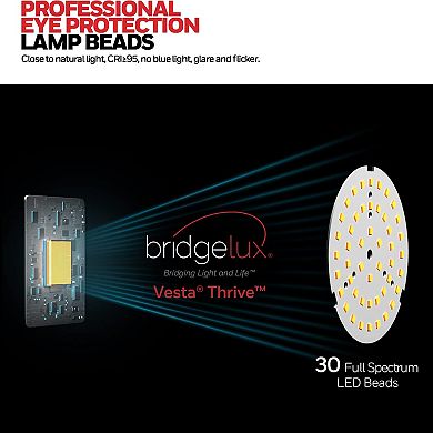 HoneywellL LED Desk Lamp 4000K Dimmable Lamp Eye Caring Natural Light Architect Lamp