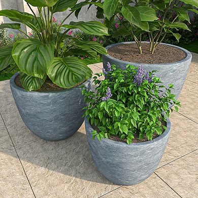 Dahlia Planter Set of 3 in Aged Concrete