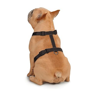 Zack & Zoey Butterfly Glow Harness Costume for Dogs