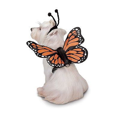 Zack & Zoey Butterfly Glow Harness Costume for Dogs