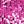Fushia