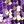Purple And Gold